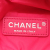 Chanel A Chanel Pink Nylon Fabric Printed Coco Neige Convertible Backpack France