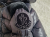 Moncler Owl Giubbotto