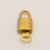 Louis Vuitton Brass Padlock