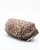 Fendi Leopard Vanity Pouch