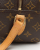 Louis Vuitton Monogram Blois Bag