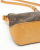 Louis Vuitton Monogram Trotteur Crossbody Bag