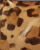 Prada Leopard Baguette Bag
