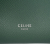 Celine B Celine Green Calf Leather Nano Grained skin Belt Bag Italy
