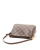Louis Vuitton Damier Ebene Truth Makeup Bag