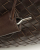 Bottega Veneta Intrecciato Business Bag