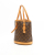 Louis Vuitton Monogram Bucket PM Bag