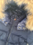 Moncler GIUBBOTTO POULAIN JACKET