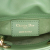Christian Dior AB Dior Green Mint Lambskin Leather Leather Micro Lambskin Cannage Lady Dior Italy