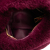 Bottega Veneta AB Bottega Veneta Purple Plum Fur Natural Material Mini Shearling Jodie Italy