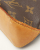 Louis Vuitton Monogram Trotteur Crossbody Bag