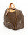 Louis Vuitton Monogram Evasion Bag