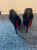 Christian Louboutin Pumpen