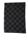 Louis Vuitton Damier Scarf