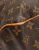 Louis Vuitton Monogram Delightful MMl Bag