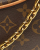 Louis Vuitton Monogram Loop Bag