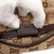 Gucci AB Gucci Brown Beige Canvas Fabric GG Double Pocket Belt Bag Italy