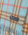 Burberry Nova Check Cashmere Scarf