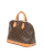 Louis Vuitton Monogram Alma PM Bag