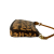 Louis Vuitton Brown Stephen Sprouse Monogram Graffiti Pochette Accessoires France