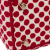 Christian Dior AB Dior Red with White Canvas Fabric DiorAmour Medium Embroidered Dots Lady D Lite Italy