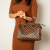 Louis Vuitton Speedy 30 Canvas Trunk Crossbody Damier Ebene