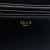 Celine Triomphe Teen Shiny Calfskin Leather Flap Crossbody Black