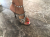 Dolce & Gabbana Party heels