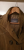 Leonardo Trench coat velour