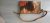 Coccinelle leather and suede pouch