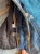 Guess Jeans