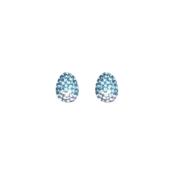 Swarovski Pierced pointiage earrings