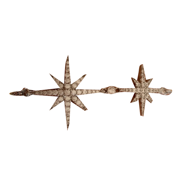 Apm Monaco Meteorite