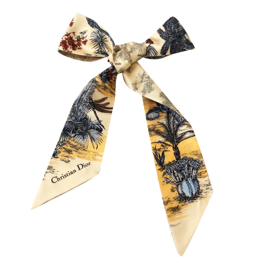 Christian Dior Bandeau