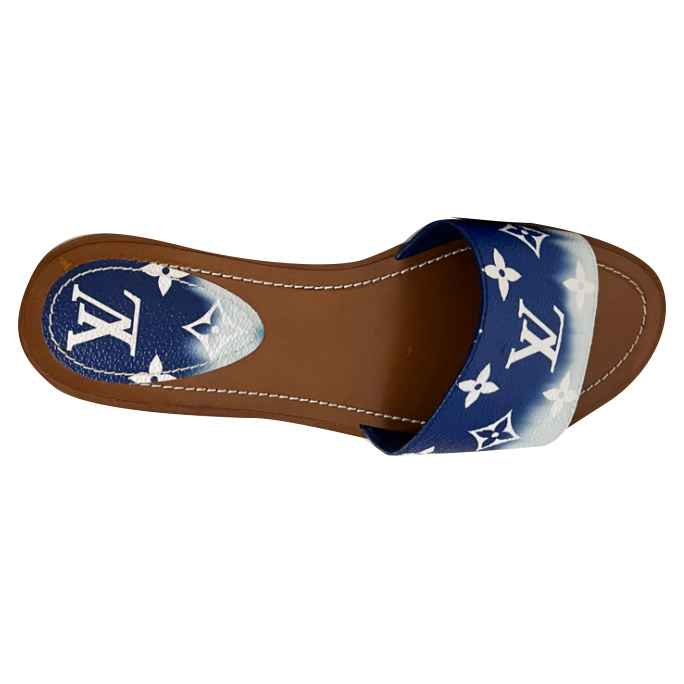 Louis Vuitton Mule plate