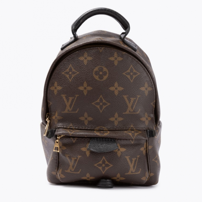 Louis Vuitton Monogram Mini Palmsprings Backpack