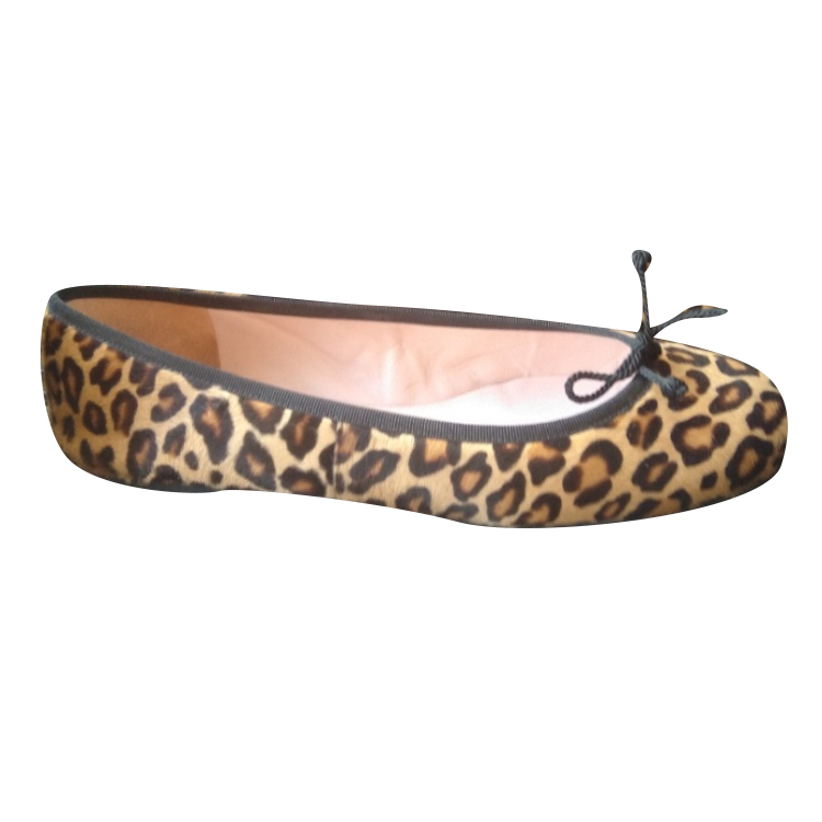 Pretty Ballerinas Ballerinas