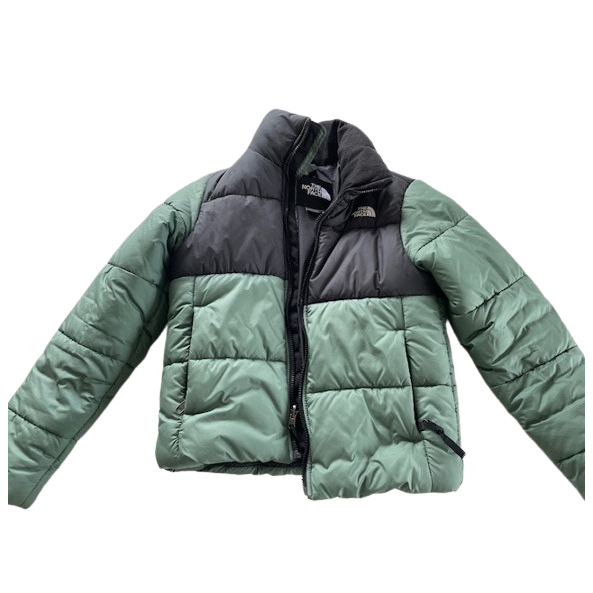 The North Face Down jacket