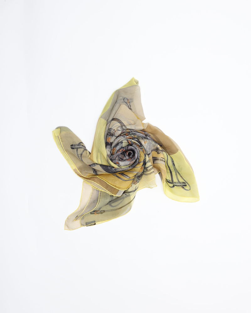 Hermès Brides Rebelles Silk Scarf