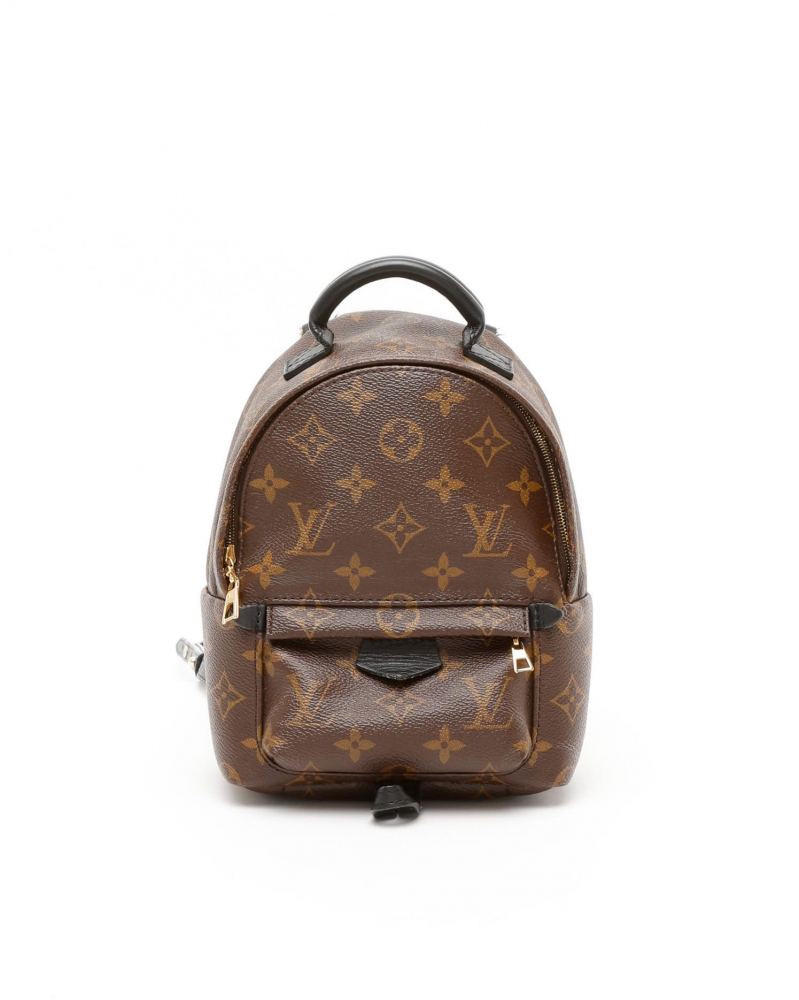 Louis Vuitton Mini Palm Springs Backpack