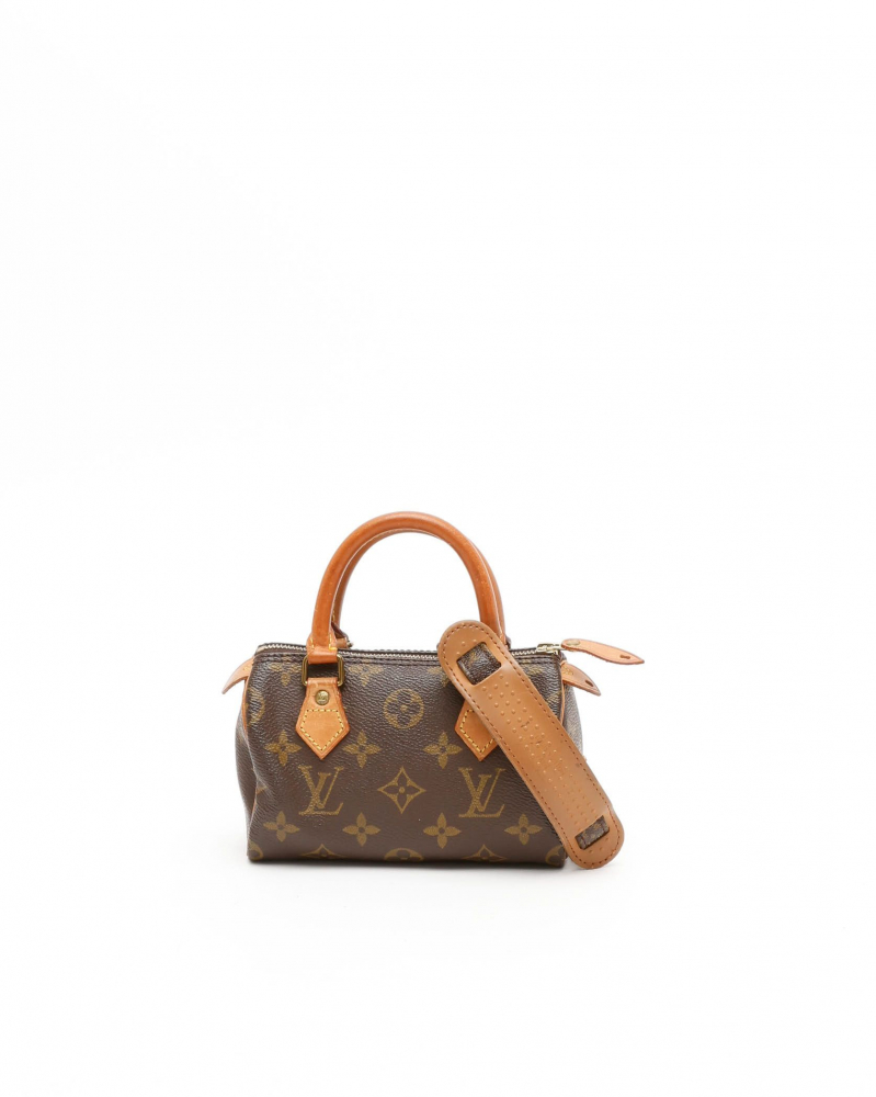Louis Vuitton Monogram Nano Speedy Bag