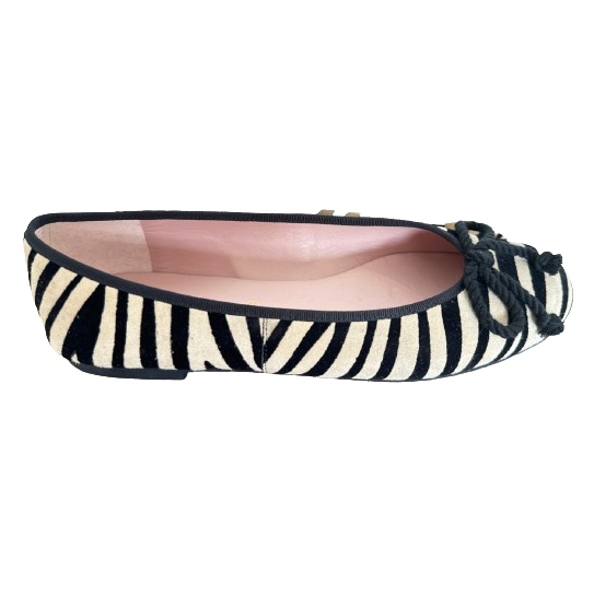 Pretty Ballerinas Ballerinas