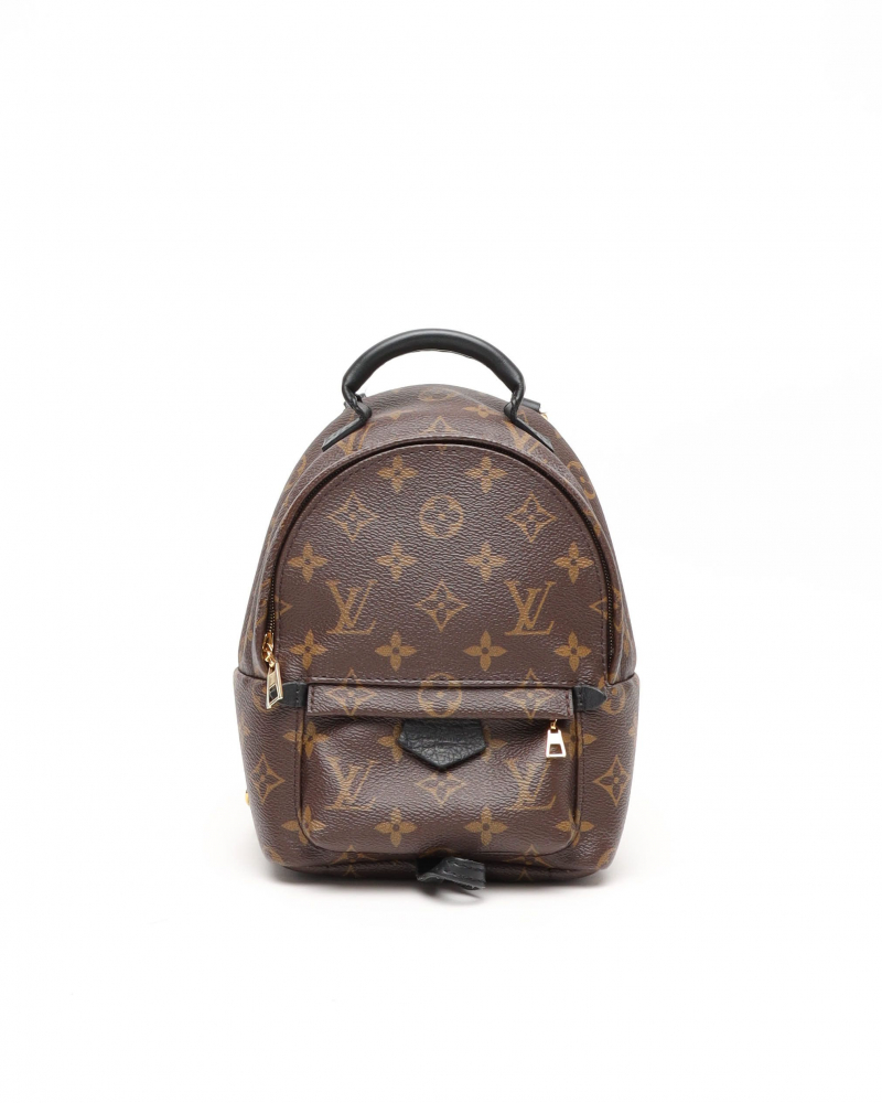 Louis Vuitton Monogram Mini Palm Springs Backpack