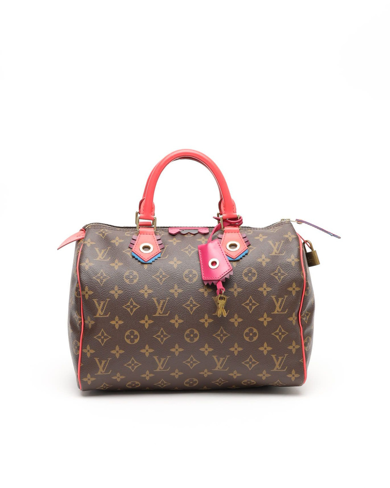 Louis Vuitton Totem Speedy 30 Bag