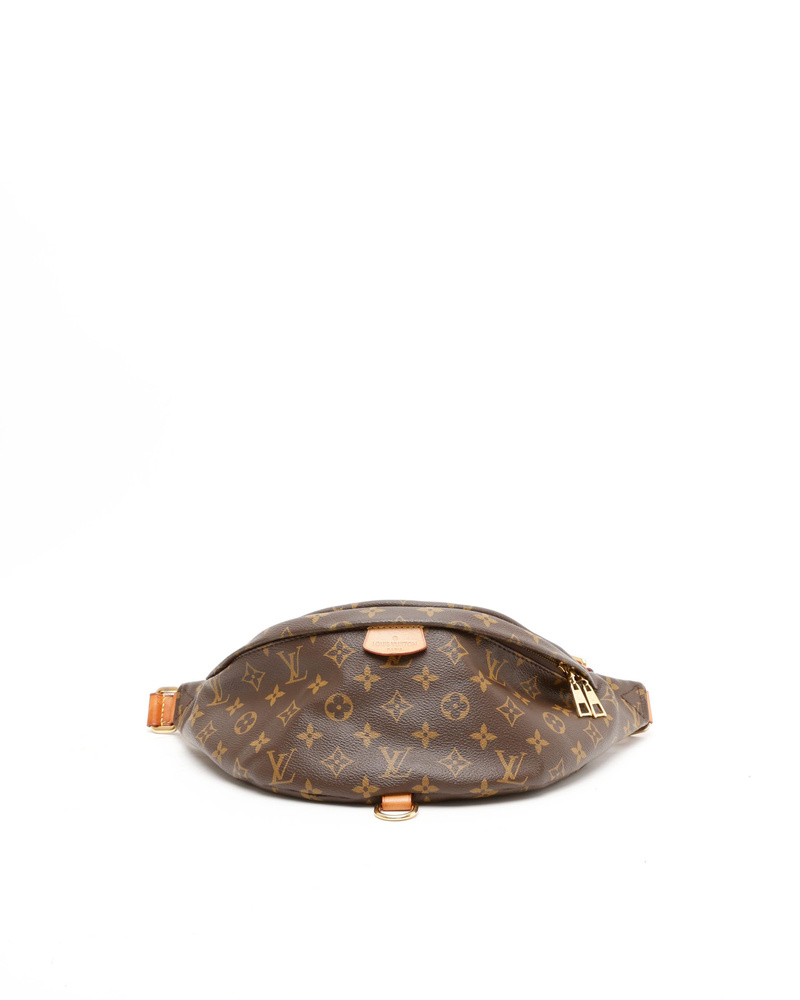 Louis Vuitton Monogram Bumbag