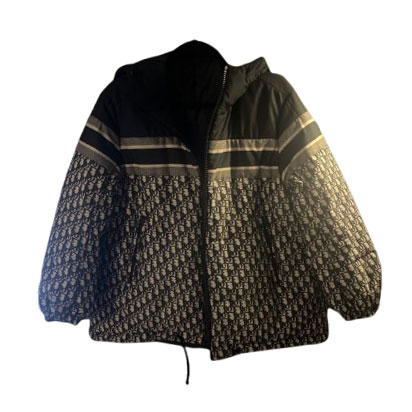 Christian Dior Dior oblique