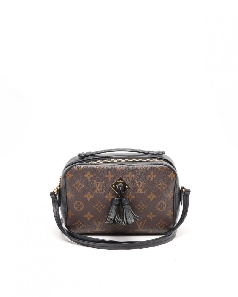 Louis Vuitton Monogram Saintonge Bag