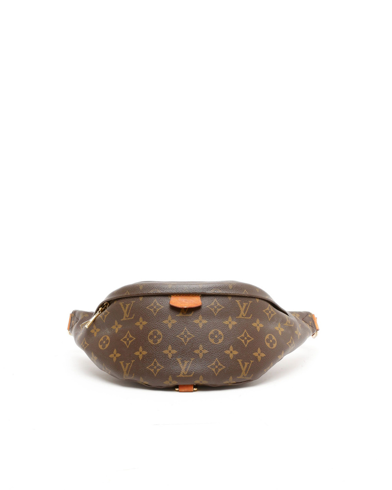 Louis Vuitton Monogram Bumbag