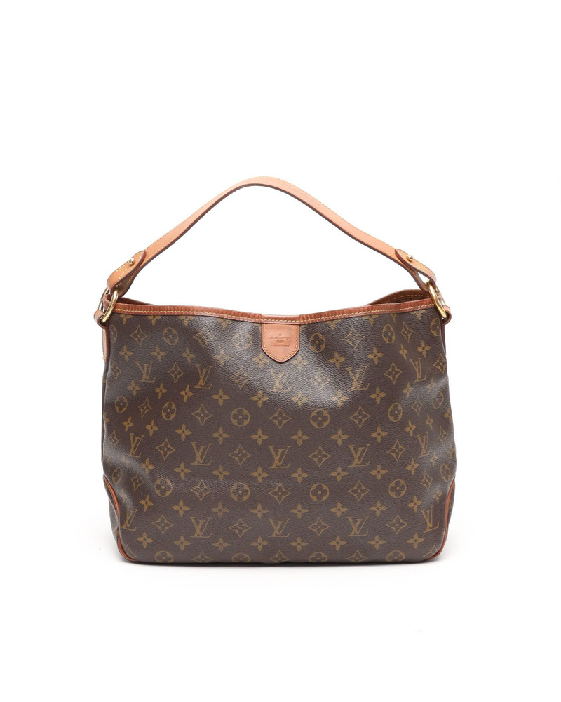 Louis Vuitton Monogram Delightful PM Bag