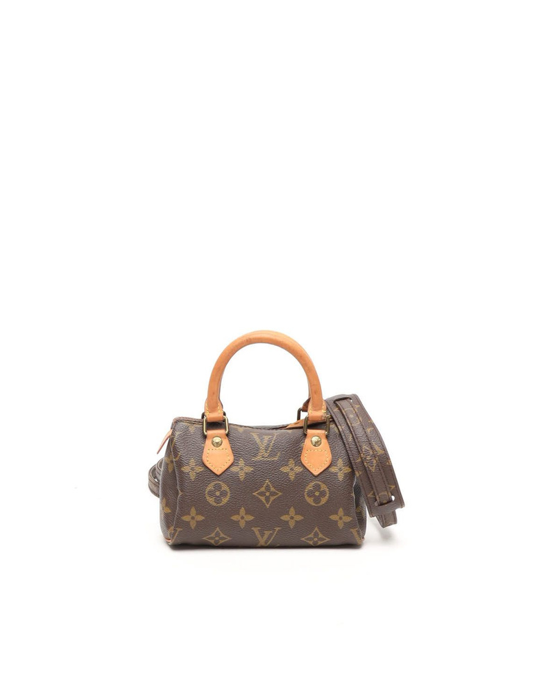 Louis Vuitton Monogram Mini Speedy Bag
